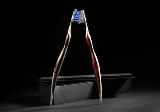 Illustration for article titled If a $4,000 Toothbrush Doesn't Make You Happy, Nothing Will